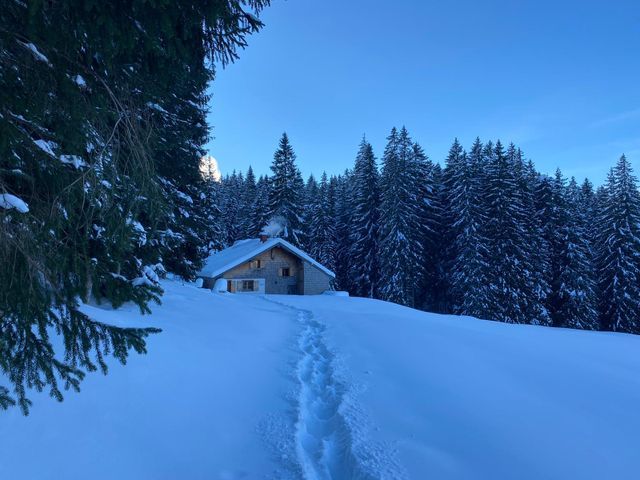 Almhütte in Abtenau POS-SBG in Abtenau im Winter